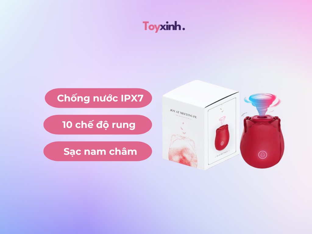 ROSE TOY LÀ GÌ? BÍ QUYẾT SỬ DỤNG 'ROSE TOY' NHƯ CHUYÊN GIA