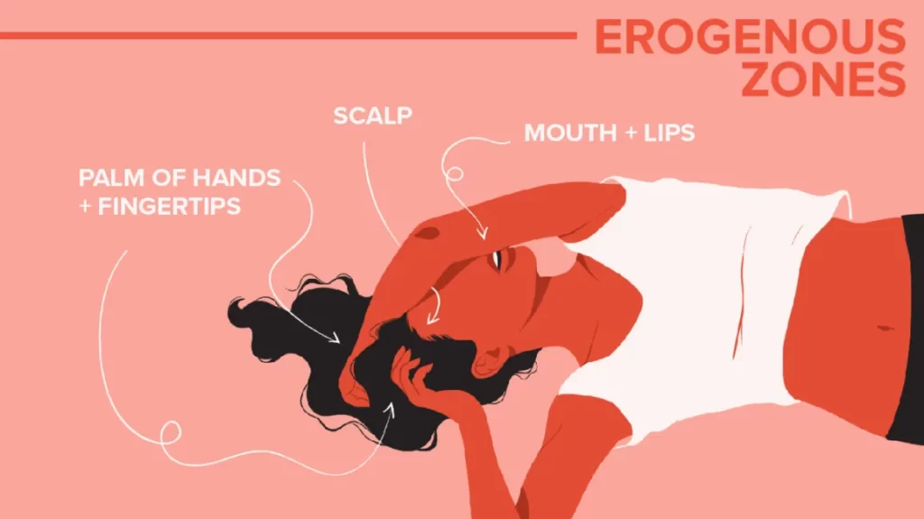 Erogenous zones