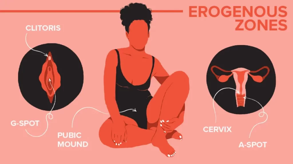 Erogenous zones nữ giới