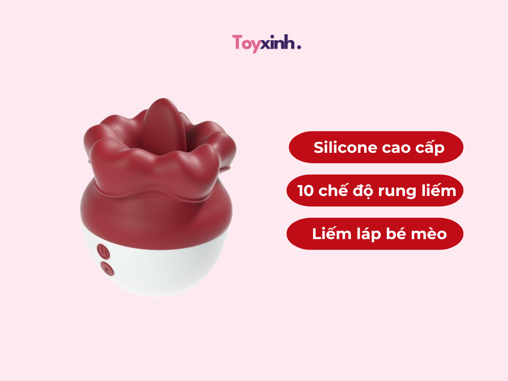 ROSE TOY LÀ GÌ? BÍ QUYẾT SỬ DỤNG 'ROSE TOY' NHƯ CHUYÊN GIA