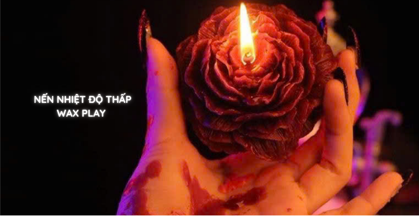 WAX PLAY LÀ GÌ? BÍ QUYẾT SỬ DỤNG NẾN NHIỆT ĐỘ THẤP BDSM ĐỂ TẬN HƯỞNG WAX PLAY AN TOÀN VÀ THĂNG HOA