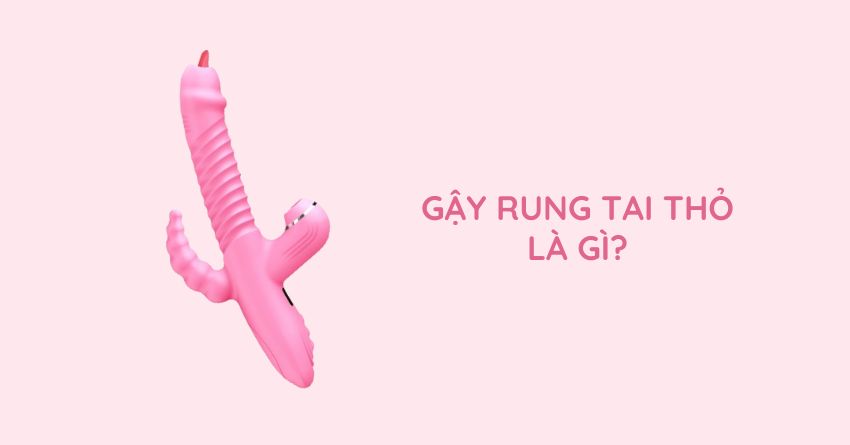 BST GẬY RUNG TAI THỎ - “CHIẾC VŨ KHÍ” DỄ THƯƠNG CHO NHỮNG CUỘC VUI ĐẦY KHOÁI CẢM