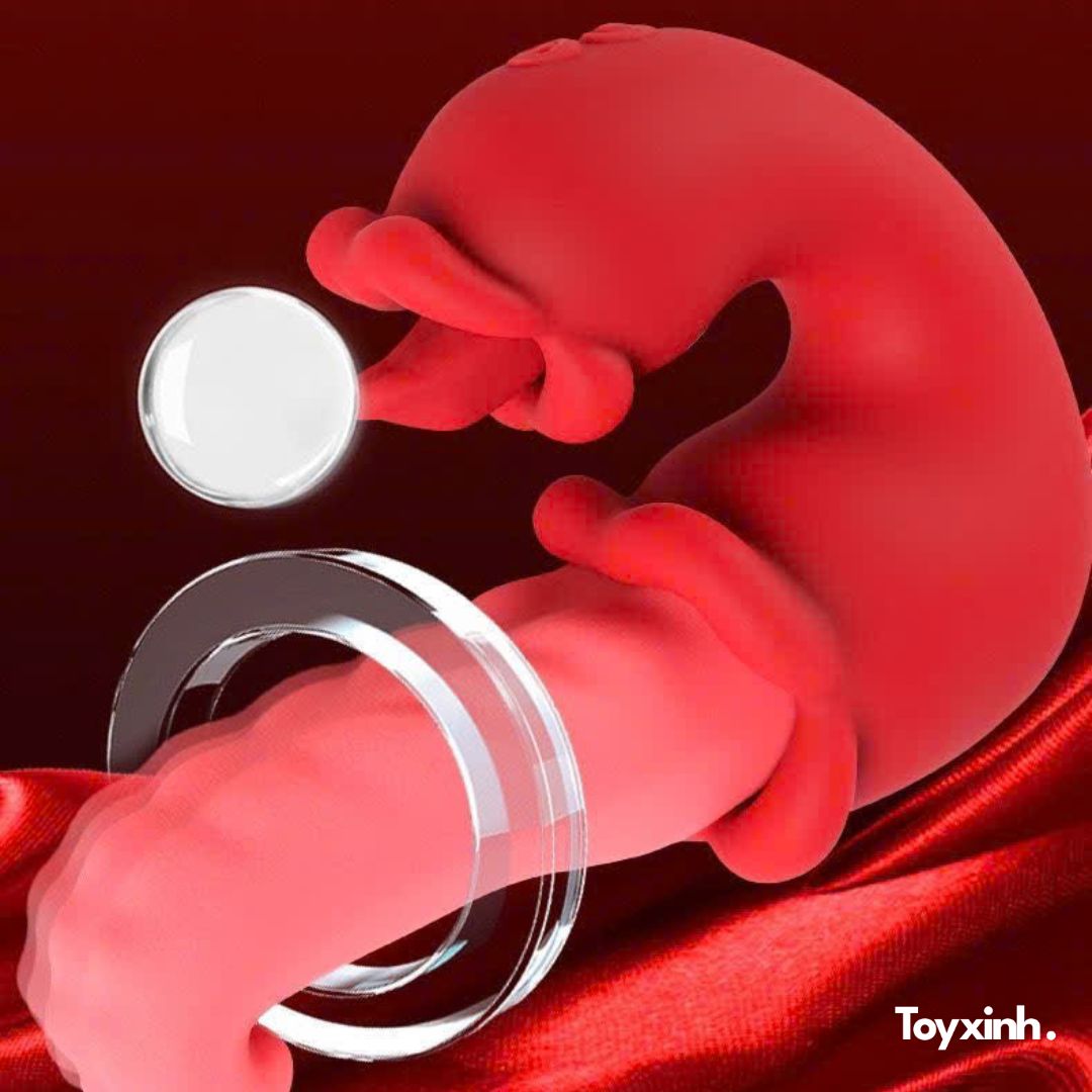 LƯỠI RUNG LIẾM SCARLET OCTOLICK ĐIỀU KHIỂN TỪ XA 10 CHẾ ĐỘ