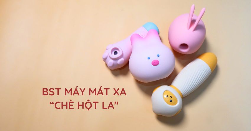 MÁY BÚ HỘT LE SƯỚNG NGẤT NGÂY