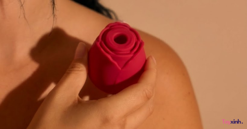 TOP 5 MÁY HÚp SÒ BÁN CHẠY TẠI TOYXINH.